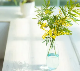 白いテーブルの上に置かれた花瓶に、繊細な黄色の花が広がり自然光に照らされた爽やかな様子